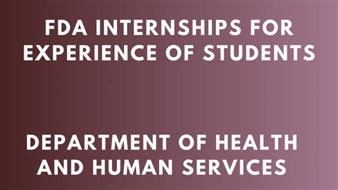 dfa internship|paid undergraduate internships.